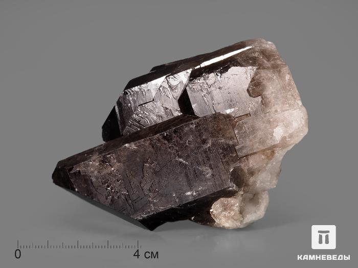 Раухтопаз (дымчатый кварц), сросток кристаллов 7,1-7,8 см, 10-100/53, фото 1