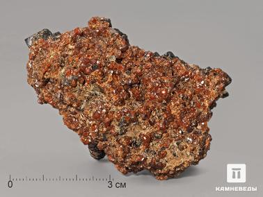 Гранат. Андрадит (гранат) с праземом, 7х4,2х3,4 см