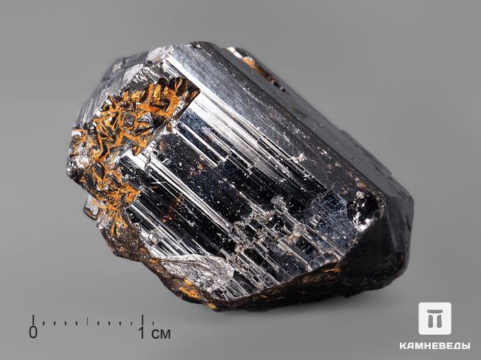 Касситерит, кристалл 3,5х2,3х2,3 см, 10-114/4, фото 1