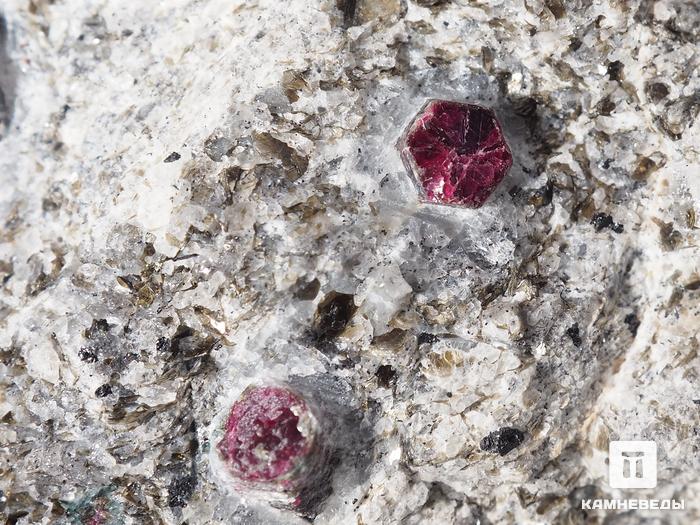 Корунд красный, кристаллы в кристаллическом сланце 6х4,7х2,5 см, 10-208/20, фото 3