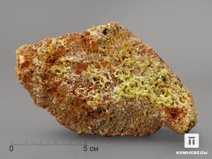 Пироморфит, 13,2х7,9х4 см, 10-205/3 (К-13), фото 1