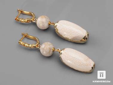 Кораллы. Серьги из окаменелого коралла с раковиной