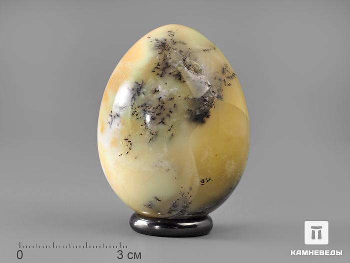 Яйцо из дендритового опала, 6х4,7 см, 22-96/2, фото 2