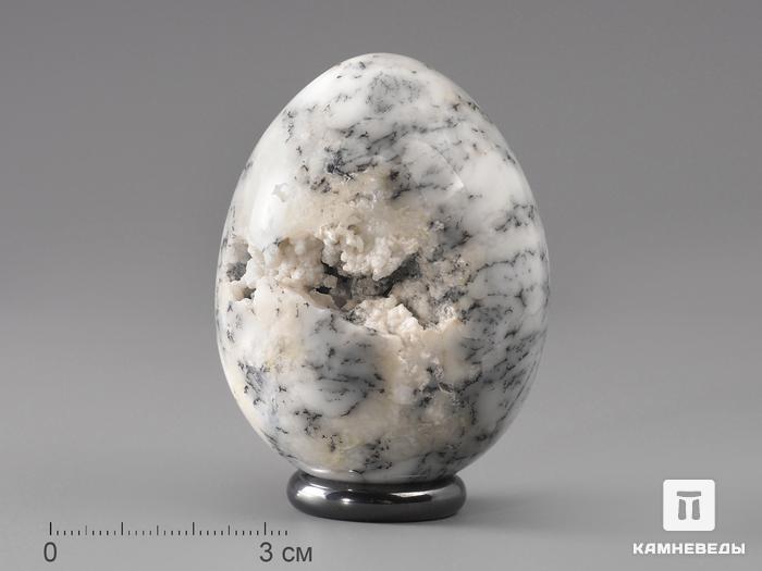 Яйцо из дендритового опала, 6,2х4,7 см, 22-96/6, фото 1