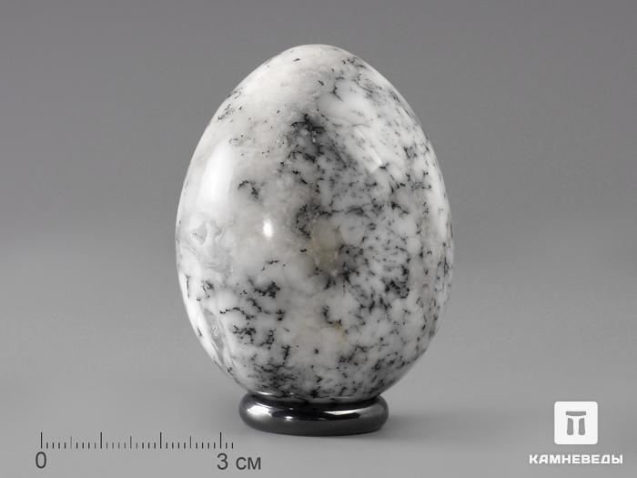 Яйцо из дендритового опала, 6,2х4,7 см, 22-96/6, фото 2