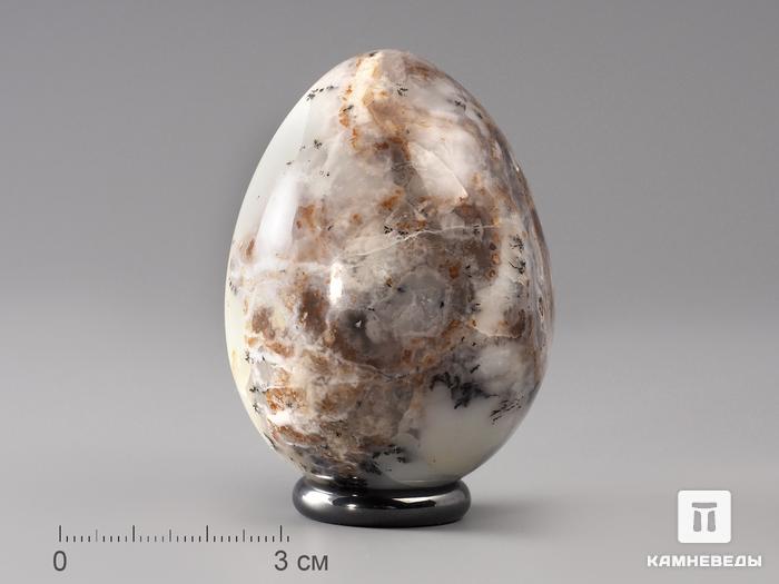 Яйцо из опала дендритового с халцедоном, 6,3х4,8 см, 22-96/7, фото 2