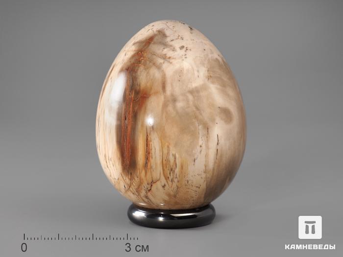 Яйцо из окаменелого дерева, 5,6х4,4 см, 22-81/6, фото 1