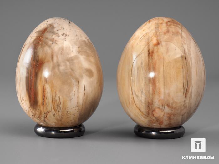 Яйцо из окаменелого дерева, 5,6х4,4 см, 22-81/6, фото 2