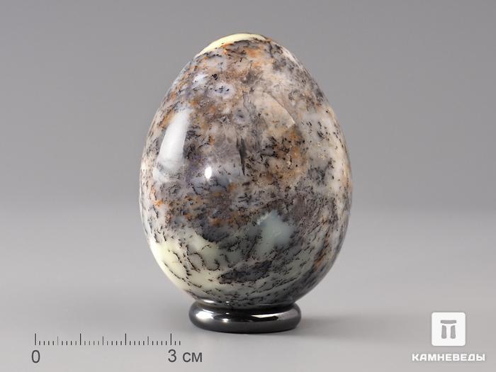 Яйцо из дендритового опала, 6,1х4,8 см, 22-96/3, фото 1