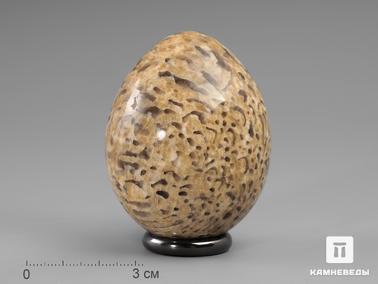 Гранит. Яйцо из гранита письменного, 5,8х4,5 см