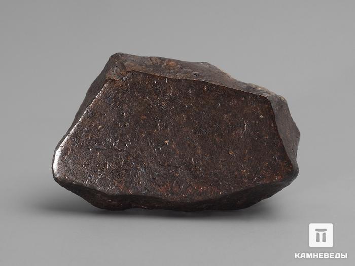 Метеорит Jiddat al Harasis 073 (JaH 073), 4х2,6х1,6 см, 10-35/4, фото 2