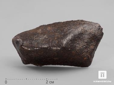 Метеориты. Метеорит Jiddat al Harasis 073 (JaH 073), 3,5х1,8х1,2 см