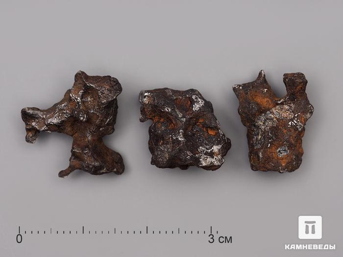 Метеорит Sericho, 2х1,5 см (4-5 г), 10-184/44, фото 2