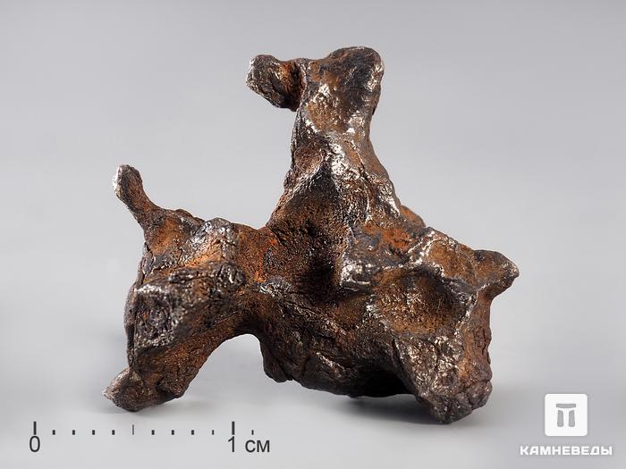 Метеорит Sericho, 2х1,5 см (4-5 г), 10-184/44, фото 3