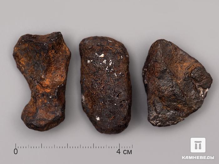 Метеорит Agoudal железный, 2 см, 10-184/40, фото 2