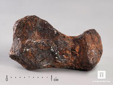 Метеориты. Метеорит Agoudal железный, 2 см