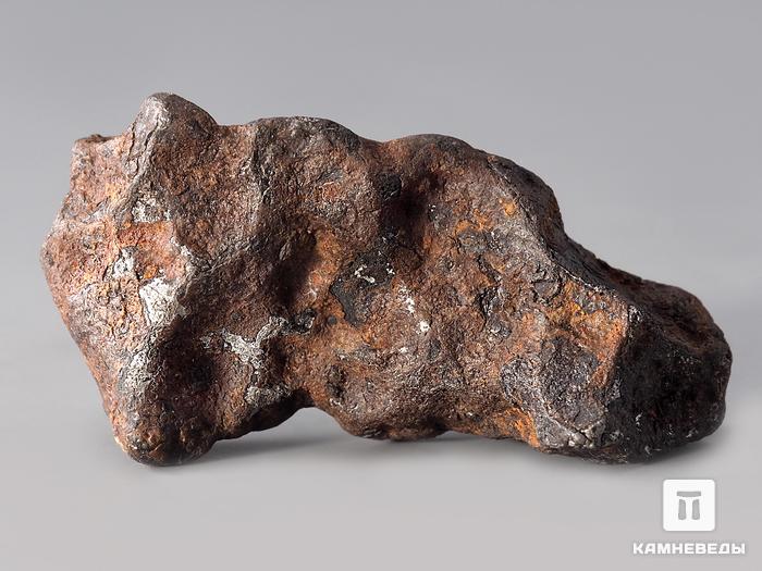 Метеорит Agoudal железный, 3,2х1,7х1,3 см, 10-184/41, фото 2