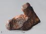 Метеорит Sericho, 1,7х1,6х0,8 см, 10-184/45, фото 2