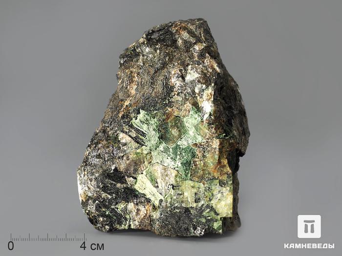 Ферроселадонит, 4,9х4,2х3,3 см, 10-646, фото 2