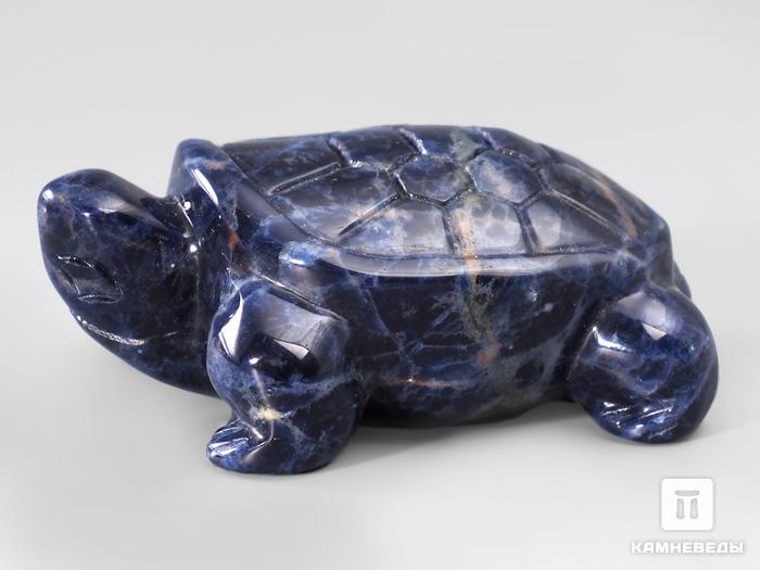 Черепаха из содалита, 5х3,5х2 см, 23-268/2, фото 1