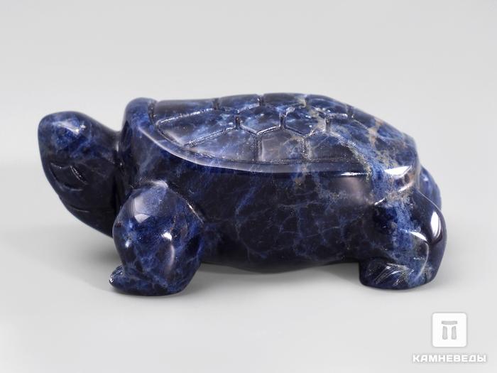 Черепаха из содалита, 5х3,5х2 см, 23-268/2, фото 2