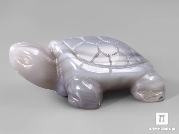 Черепаха из агата, 5х3,5х2 см, 23-116/3, фото 1