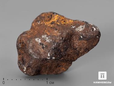 Метеориты. Метеорит Agoudal железный, 1,7х1,5 см