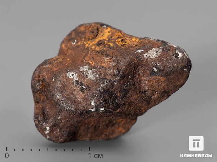 Метеорит Agoudal железный, 1,7х1,5 см, 10-184/20, фото 1