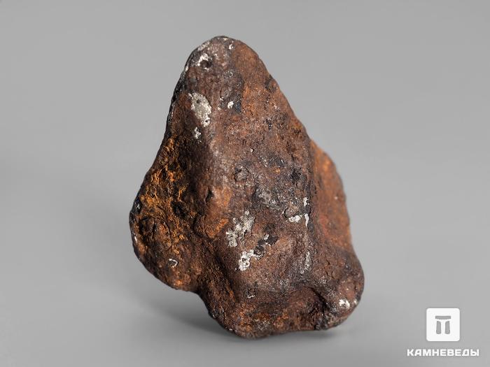 Метеорит Agoudal железный, 1,7х1,5 см, 10-184/20, фото 2