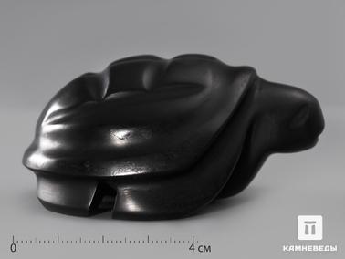 Гагат. Черепаха из гагата, 7,5х5,4х3,6 см