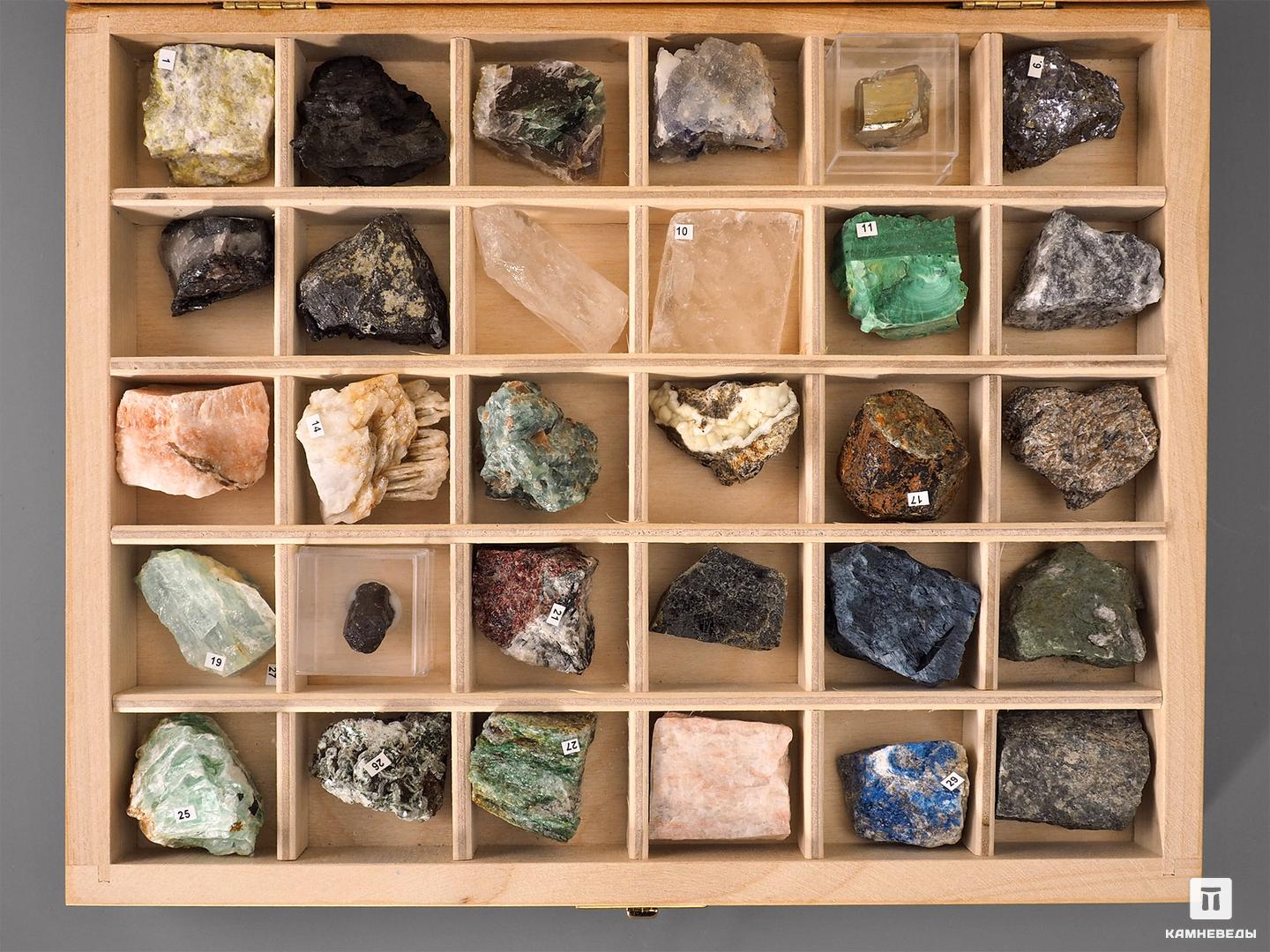 Камневеды коллекции минералов