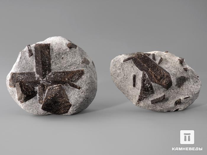 Ставролит, двойник «Прямой крест» 7-8 см, 10-121/34, фото 2