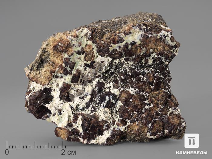 Клиногумит, 5,8х4,8х2,1 см, 10-639/3, фото 1