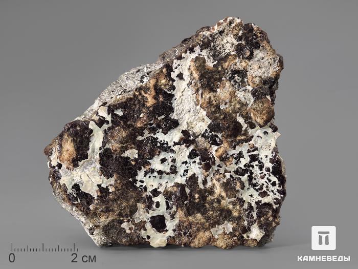 Клиногумит, 8,7х7,3х3,3 см, 10-639/1, фото 1