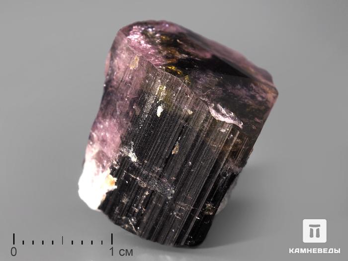 Турмалин полихромный, кристалл 2х2х1,6 см, 10-76/61, фото 1