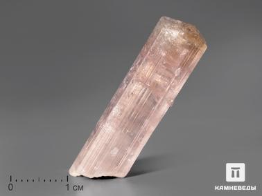 Эльбаит, Турмалин. Турмалин розовый (эльбаит), кристалл 3,3х0,8 см