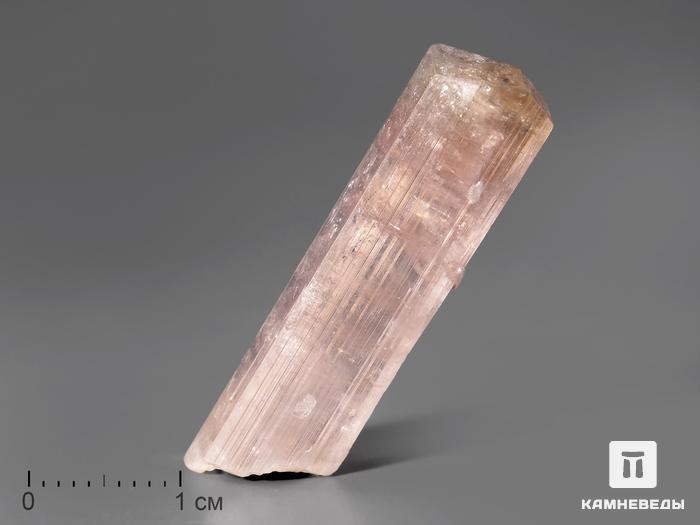 Турмалин розовый (эльбаит), кристалл 3,3х0,8 см, 10-11/3, фото 1