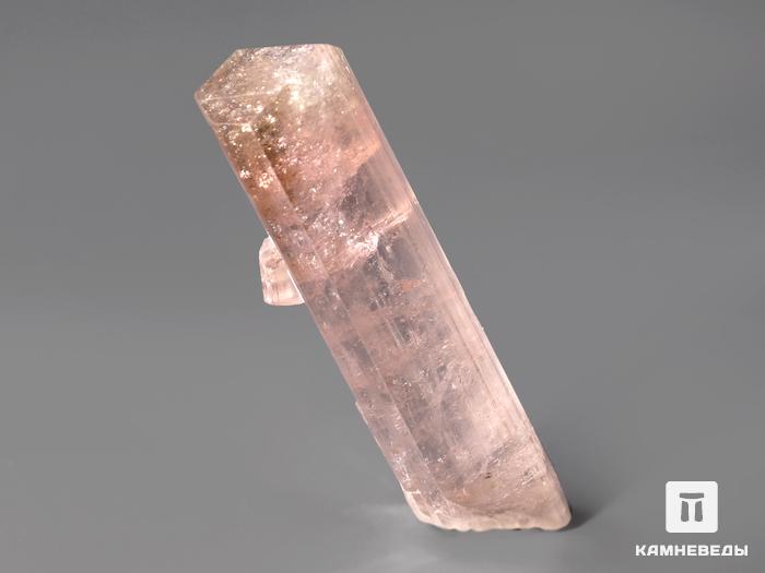 Турмалин розовый (эльбаит), кристалл 3,3х0,8 см, 10-11/3, фото 2