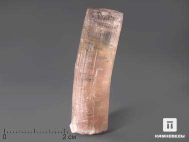 Эльбаит, Турмалин. Турмалин розовый (эльбаит), кристалл 4,3х1,2 см