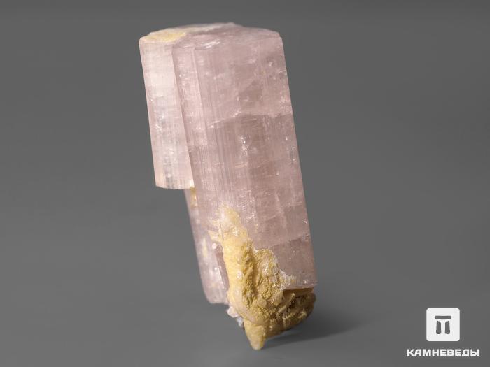 Турмалин розовый (эльбаит), кристалл 3,1х1,9 см, 10-11/2, фото 2