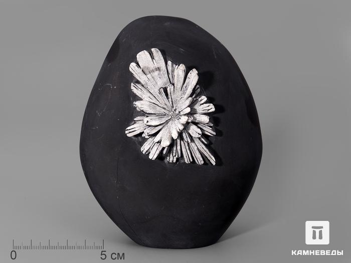 Целестин на аргиллите «хризантемовый камень», 13,3х10,6х5,1 см, 132, фото 1