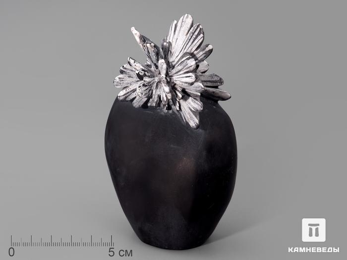 Целестин на аргиллите «хризантемовый камень», 12,2х7,5х4,4 см, 130, фото 1