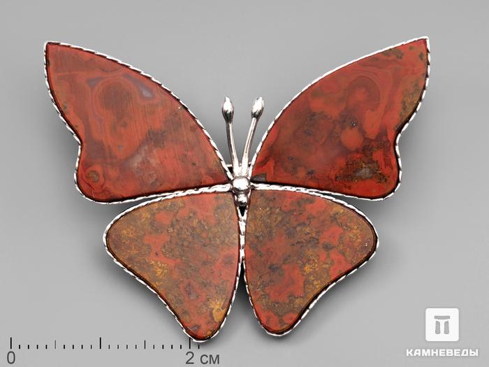 Брошь «Бабочка» с красным агатом, 4,4х3,5х0,2 см, 230, фото 1