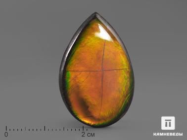 Аммолит. Аммолит, 2,9х1,9х0,3 см