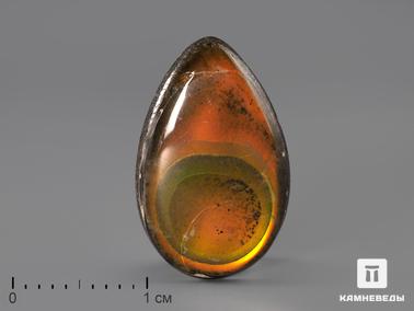 Аммолит. Аммолит, 1,7х1,1х0,2 см