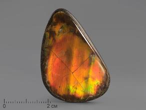 Аммолит (ископаемый перламутр аммонита), 4,5х3х0,4 см
