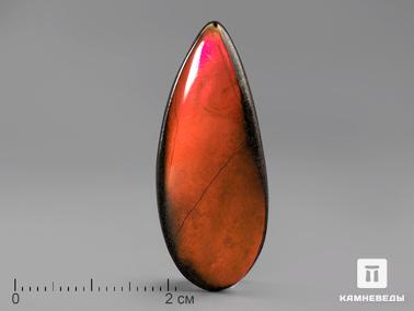 Аммолит. Аммолит (ископаемый перламутр аммонита), 3,8х1,6х0,3 см
