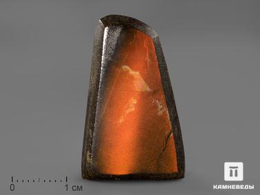 Аммолит. Аммолит (ископаемый перламутр аммонита), 3,1х1,9х0,5 см