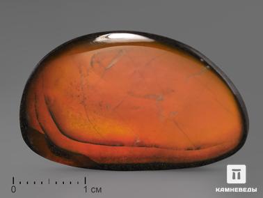 Аммолит. Аммолит (ископаемый перламутр аммонита), 3,2х2х0,3 см