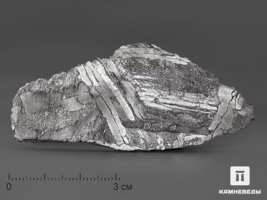 Метеориты. Метеорит Сеймчан, 6,9х3,1х0,4 см